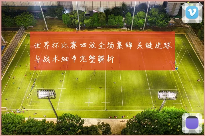 世界杯比赛回放全场集锦 关键进球与战术细节完整解析